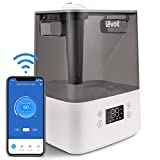 Levoit Ultraschall Luftbefeuchter 6L Wlan 60H Top-Füllung 26dB Humidifier mit APP & Alexa Steuerung, Auto & Schlafmodus, Ultra Leise Raumluftbefeuchter mit Aromatherapie für Baby Schlafzimmer bis 47m² Levoit Ultraschall Luftbefeuchter 6L Wlan 60H Top-Füllung 26dB Humidifier mit APP & Alexa Steuerung, Auto & Schlafmodus, Ultra Leise Raumluftbefeuchter mit Aromatherapie für Baby Schlafzimmer bis 47m²
