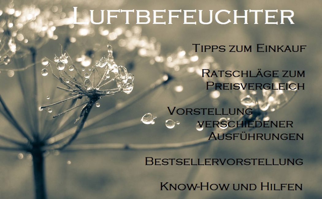 luftbefeuchter_startpage Luftbefeuchter4you_startpage_small